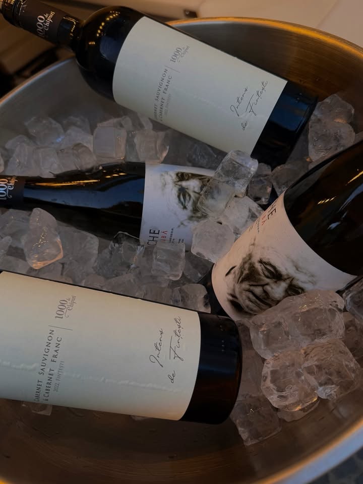 Sticle de vin la rece, fotografiate la ORDO